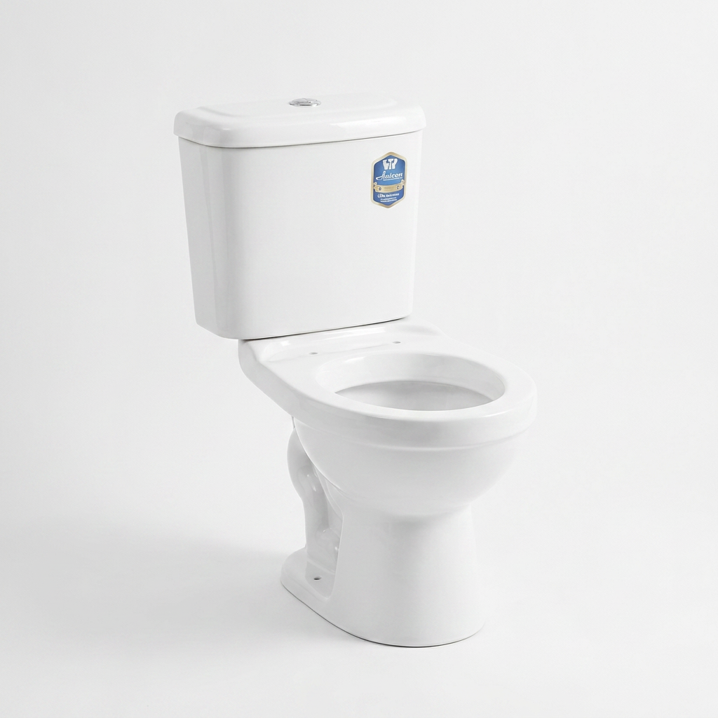 Toilette monobloc Anicon