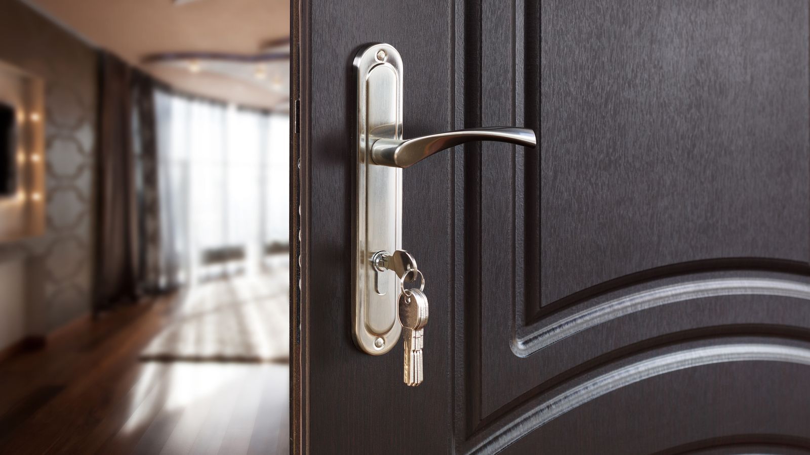 Poignée de porte sur rosace inox - Bec de cane - LC3 - Vachette - Photo 3